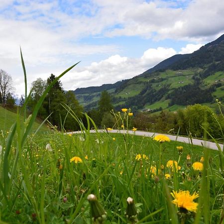 Niederstallnhof Sankt Johann im Pongau Eksteriør billede