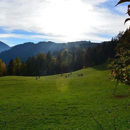 Niederstallnhof Sankt Johann im Pongau Eksteriør billede