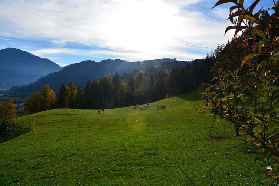 Niederstallnhof Sankt Johann im Pongau Eksteriør billede